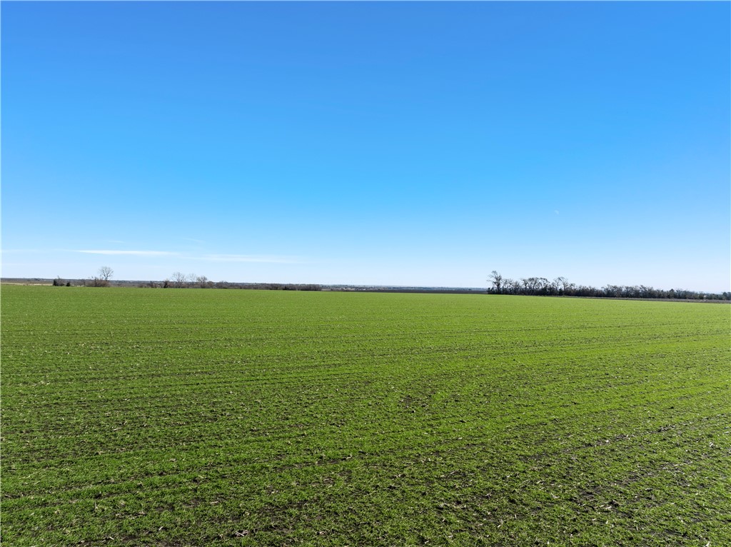 TBD Trlica Road, West, Texas image 10