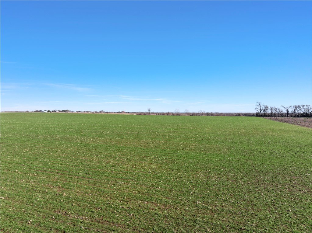 TBD Trlica Road, West, Texas image 9