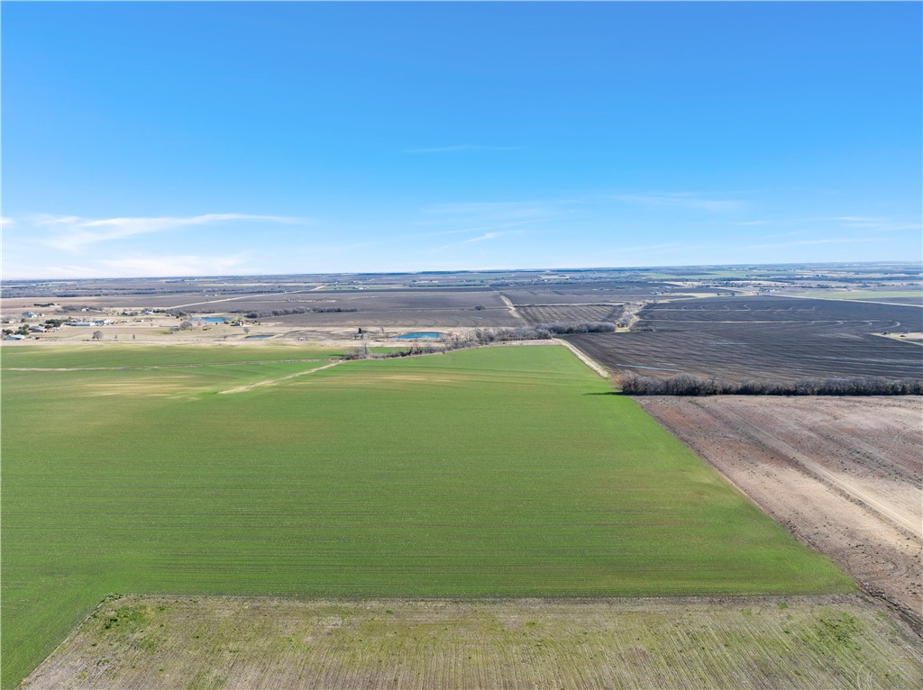 TBD Trlica Road, West, Texas image 4