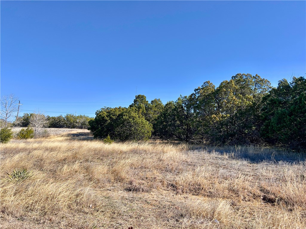 Cedar Ridge Road, Gatesville, Texas image 8