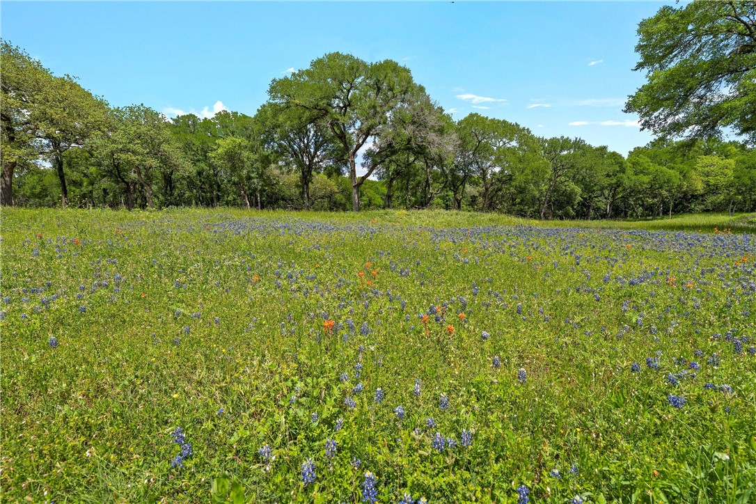 Lot 2 Foxview Drive, Waco, Texas image 13