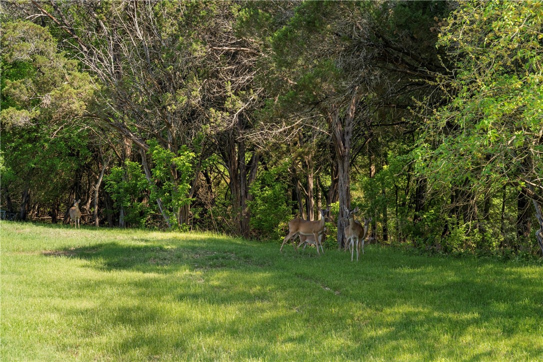 Lot 16 Riverside Drive, Aquilla, Texas image 5