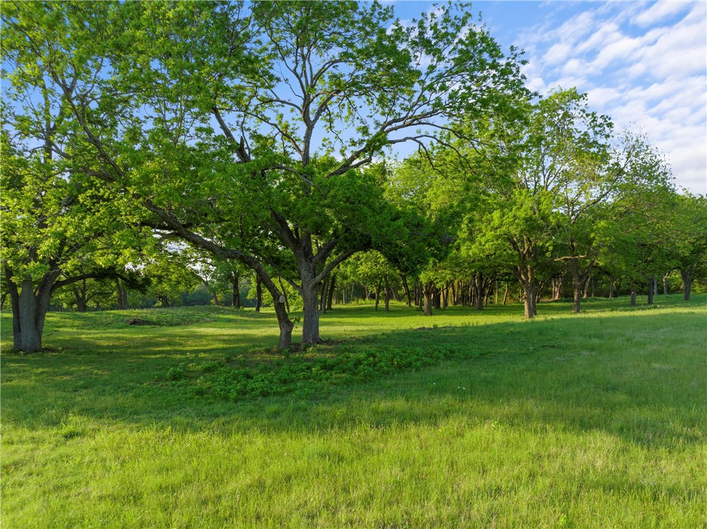 Lot 16 Riverside Drive, Aquilla, Texas image 3