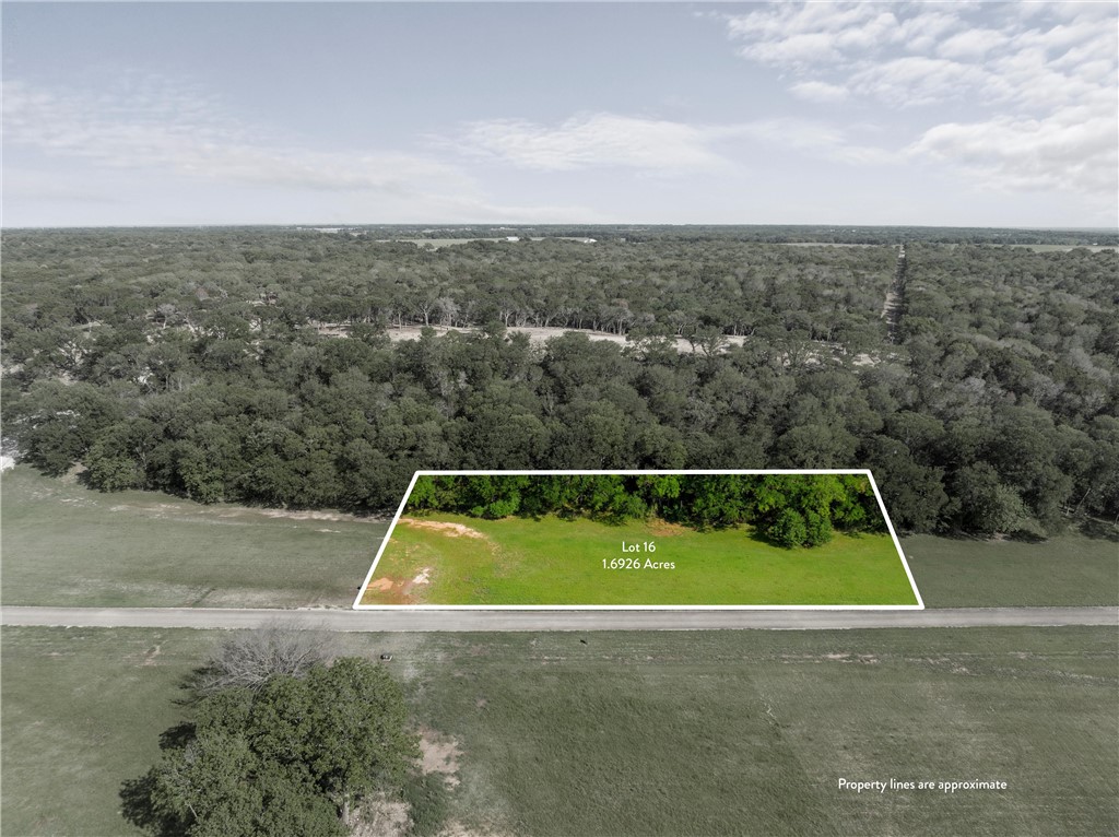 Lot 16 Riverside Drive, Aquilla, Texas image 2