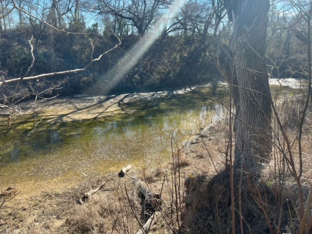 TBD Cr 3115, Clifton, Texas image 16