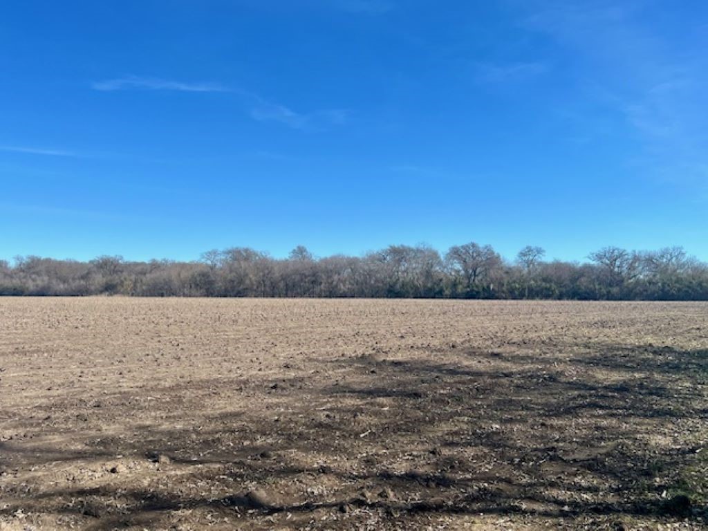 TBD Cr 3115, Clifton, Texas image 8