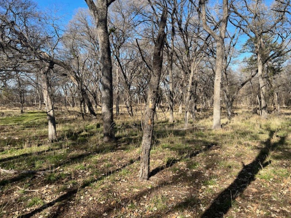 TBD Cr 3115, Clifton, Texas image 11