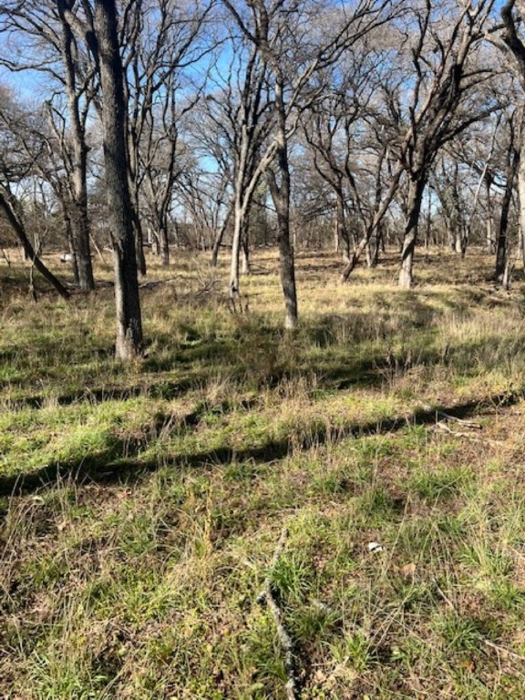 TBD Cr 3115, Clifton, Texas image 7