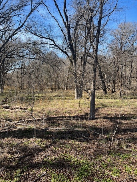 TBD Cr 3115, Clifton, Texas image 4