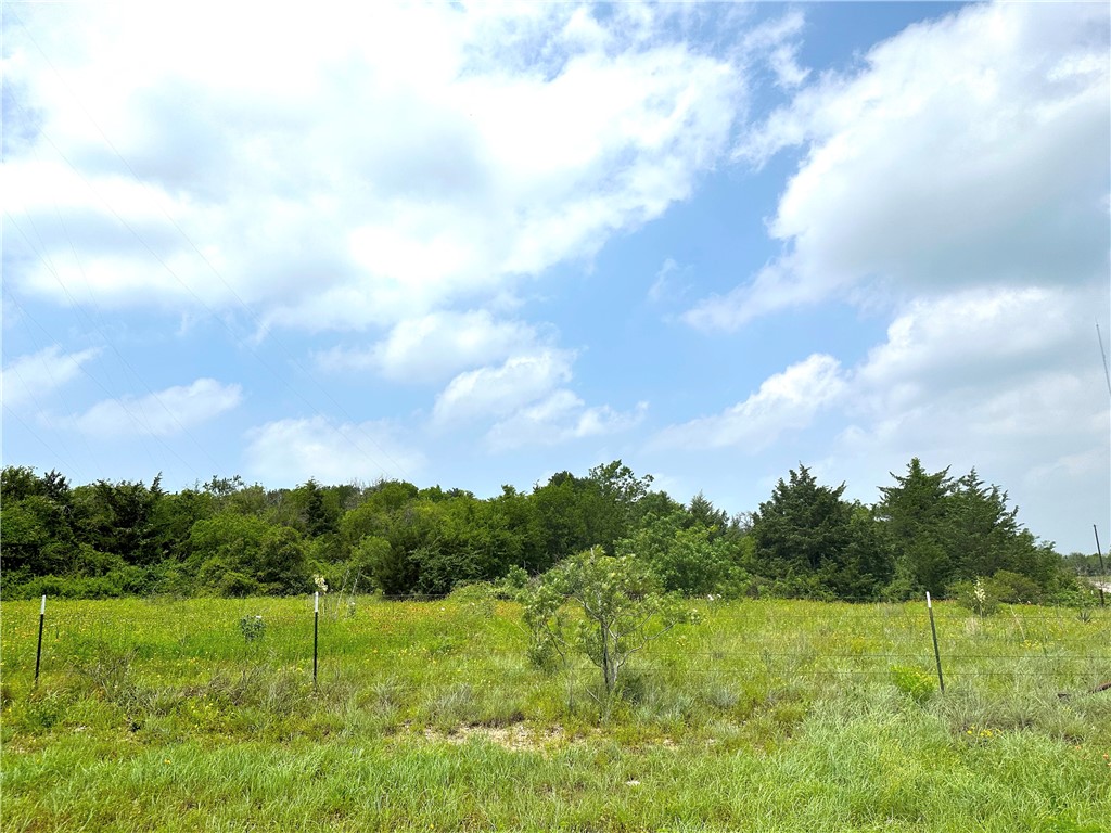 Tract 21 Remington Circle, Moody, Texas image 9