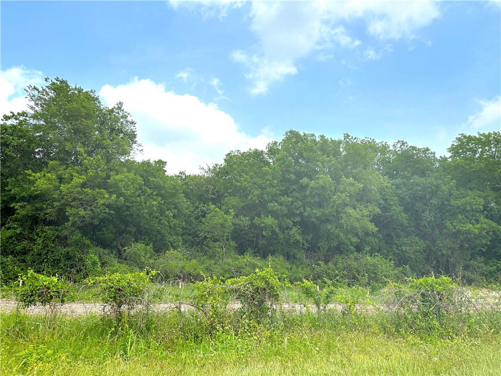 Tract 21 Remington Circle, Moody, Texas image 6