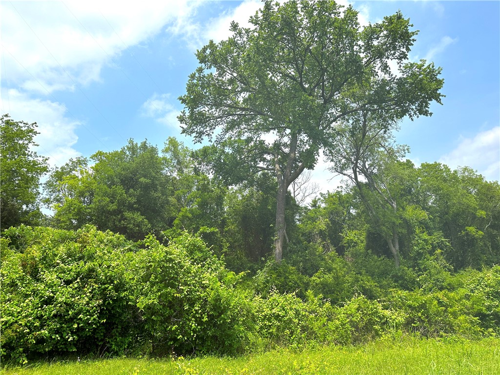 Tract 21 Remington Circle, Moody, Texas image 10