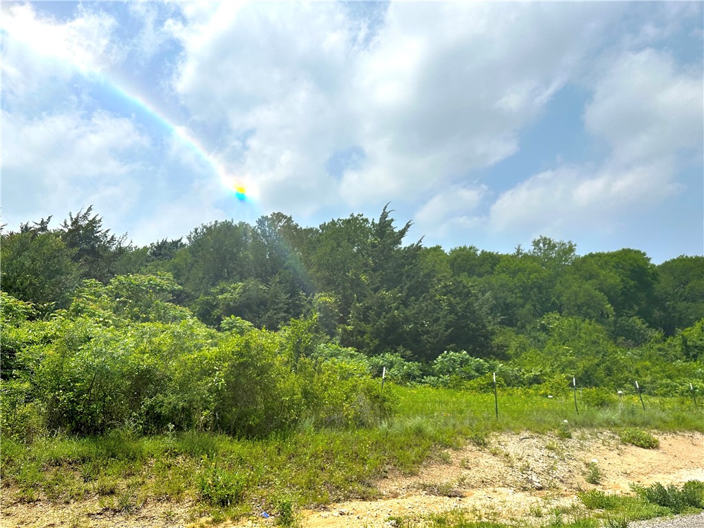 Tract 21 Remington Circle, Moody, Texas image 8