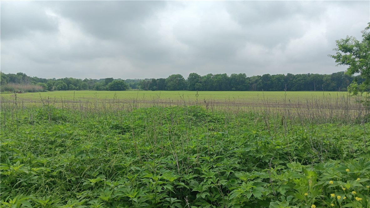 TBD Cr 494n, Chilton, Texas image 1