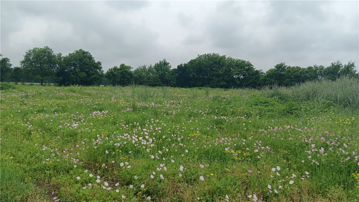 TBD Cr 494n, Chilton, Texas image 2