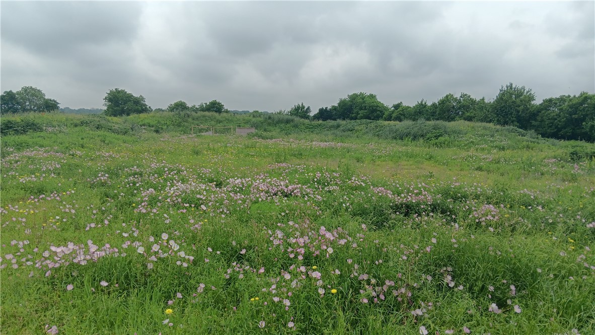 TBD Cr 494n, Chilton, Texas image 3