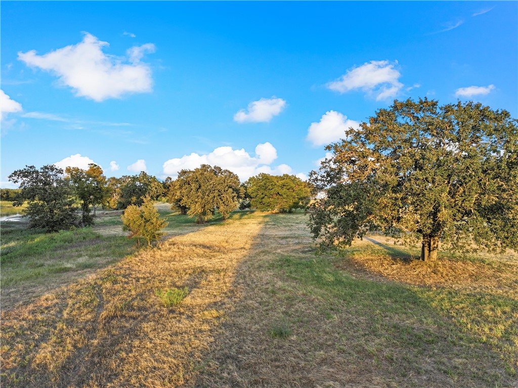 16124 Gholson Road, Waco, Texas image 4