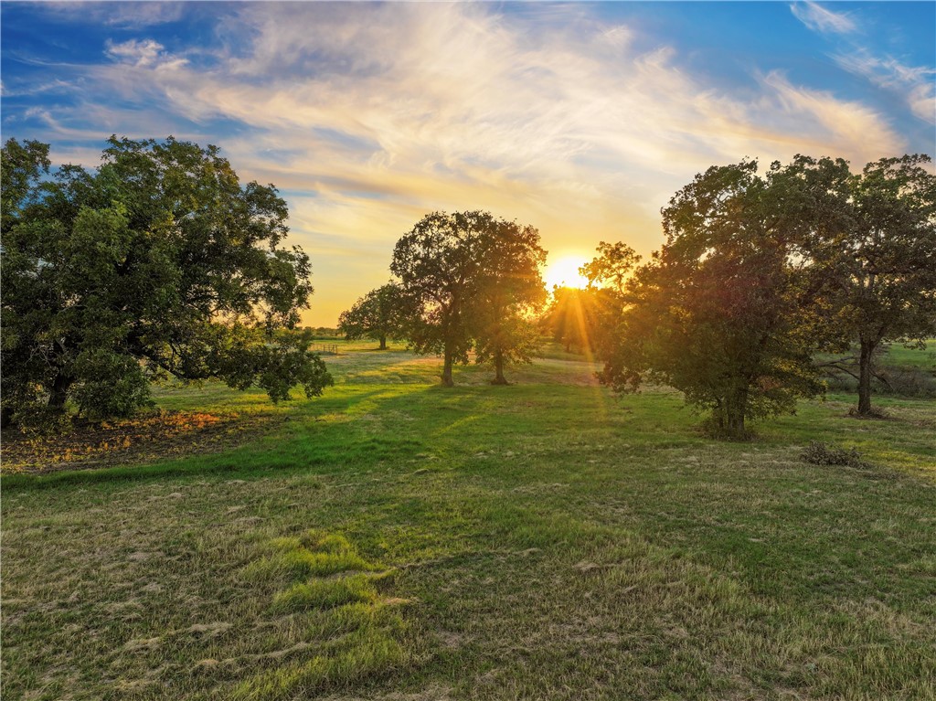 16124 Gholson Road, Waco, Texas image 3
