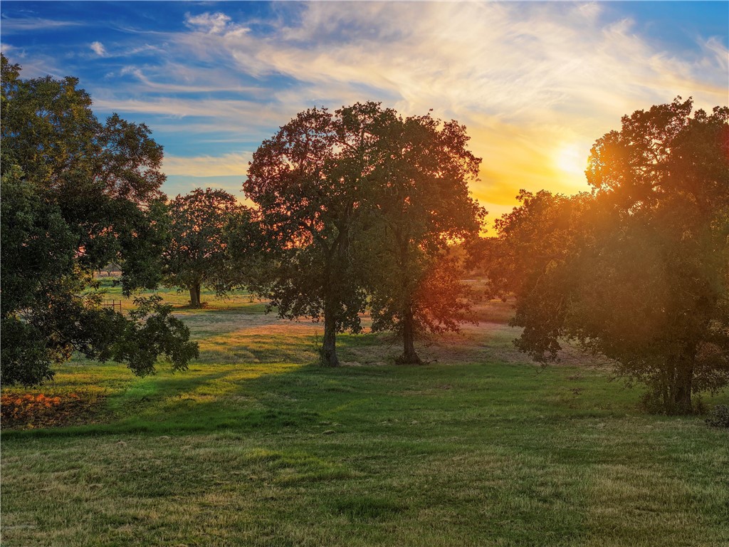16124 Gholson Road, Waco, Texas image 5
