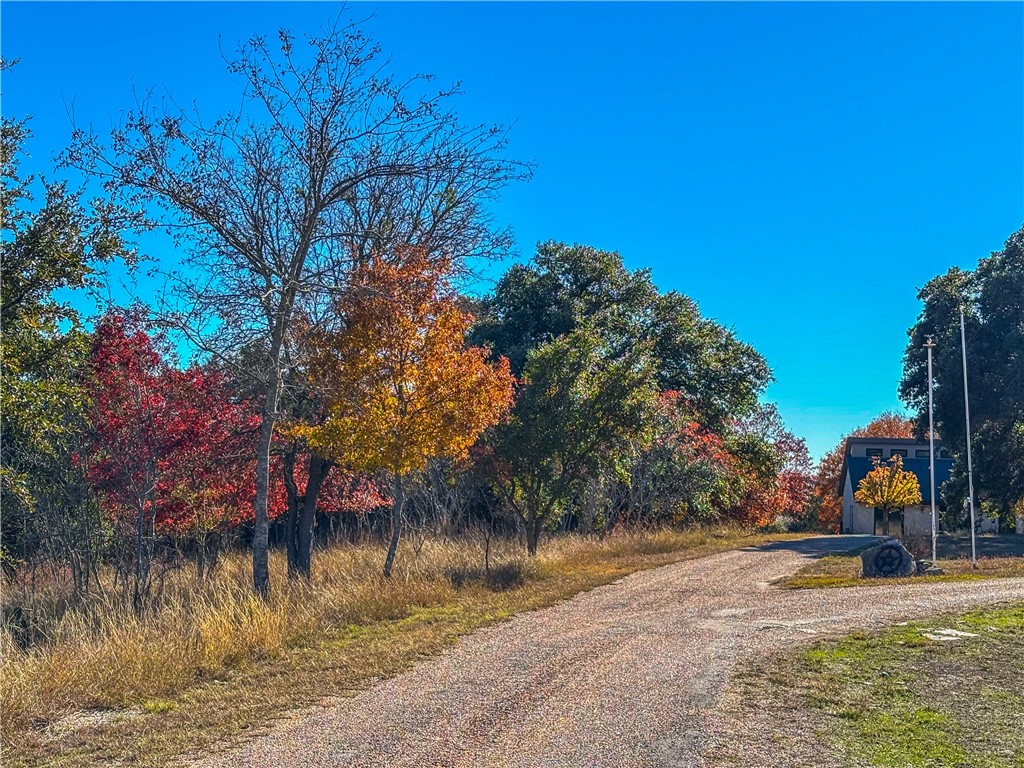 3276 Arista Rueda Drive, Kempner, Texas image 6