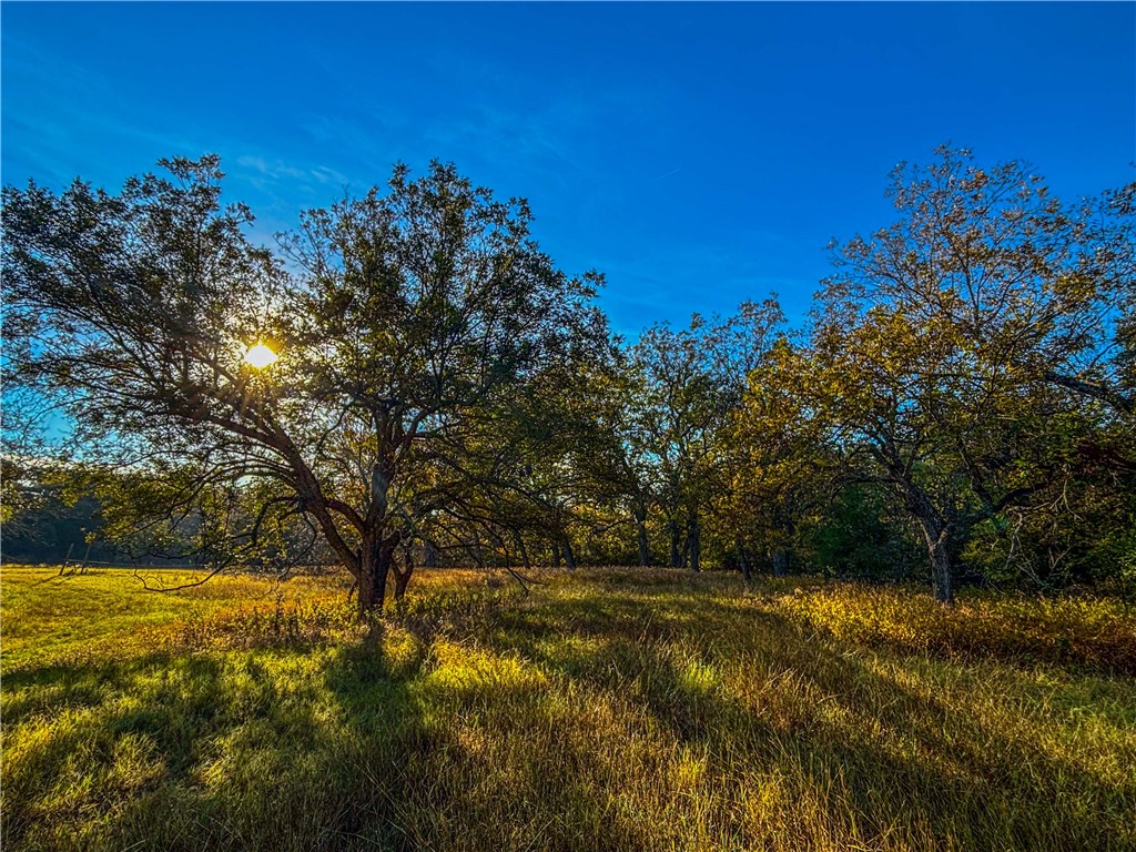 3276 Arista Rueda Drive, Kempner, Texas image 39