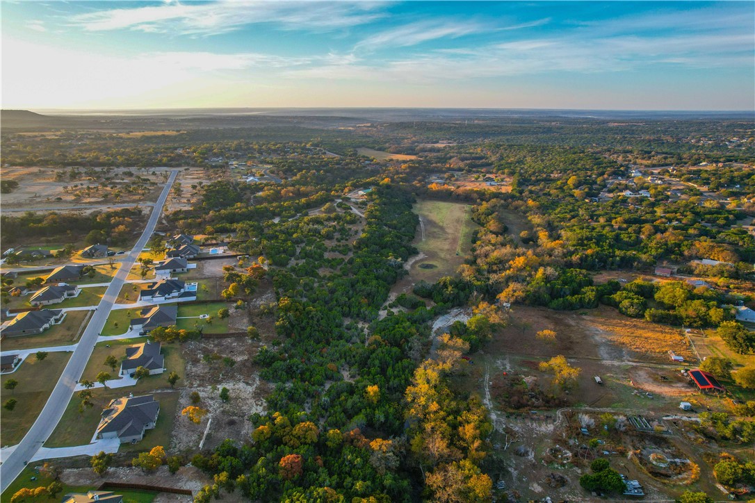 3276 Arista Rueda Drive, Kempner, Texas image 47