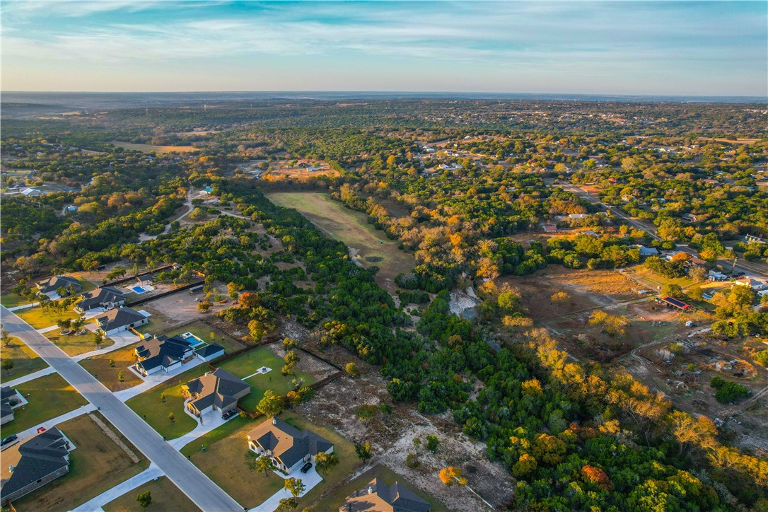 3276 Arista Rueda Drive, Kempner, Texas image 48