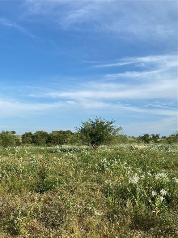 TBD Hcr 3254 Road, Mount Calm, Texas image 19