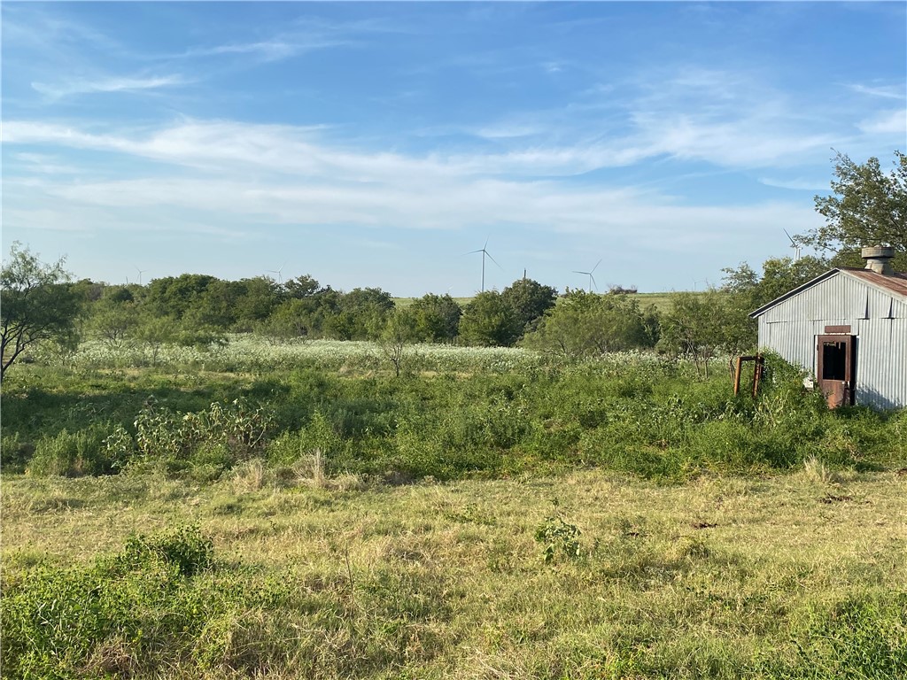 TBD Hcr 3254 Road, Mount Calm, Texas image 20