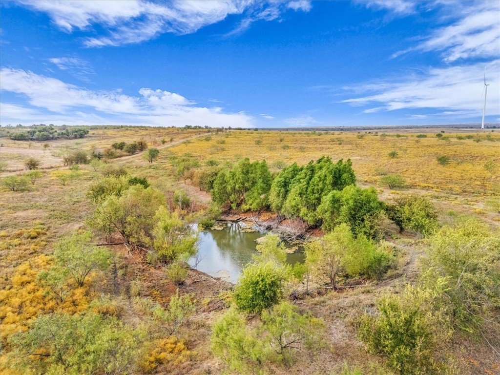 TBD Hcr 3254 Road, Mount Calm, Texas image 3