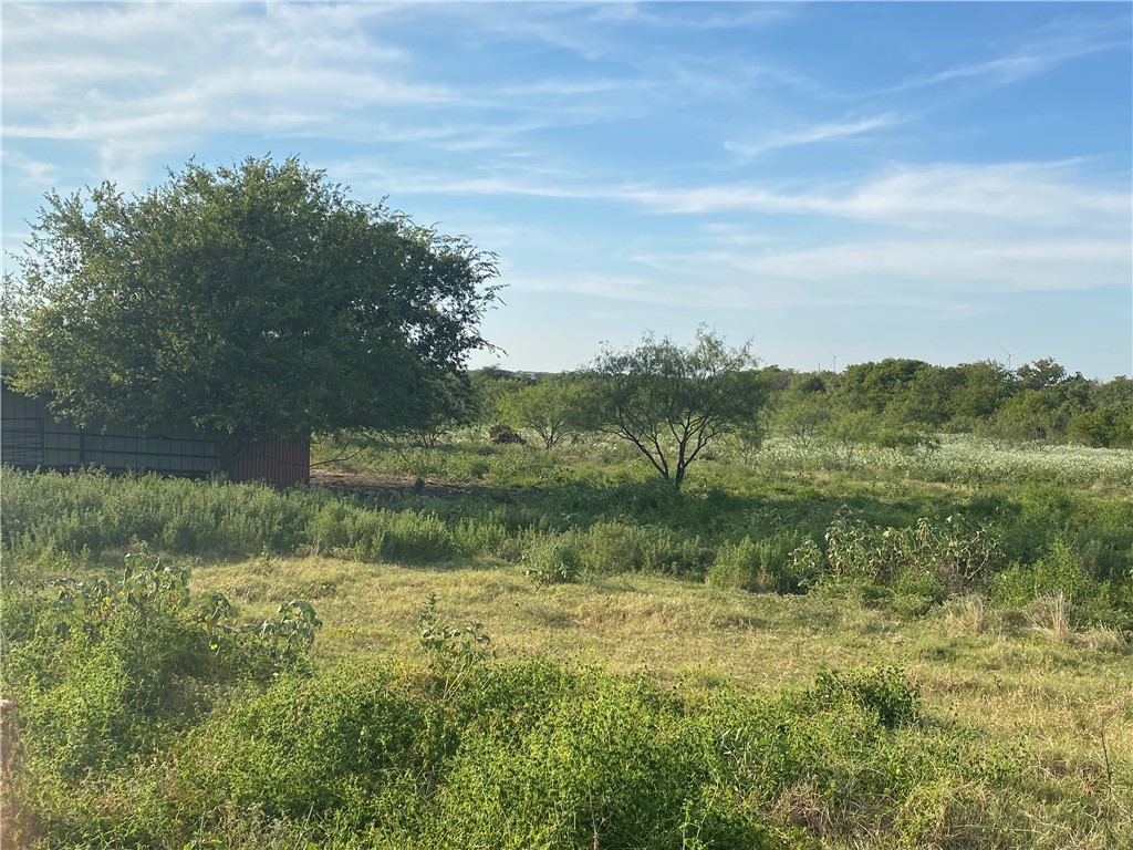 TBD Hcr 3254 Road, Mount Calm, Texas image 8