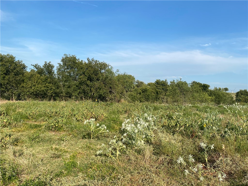 TBD Hcr 3254 Road, Mount Calm, Texas image 11