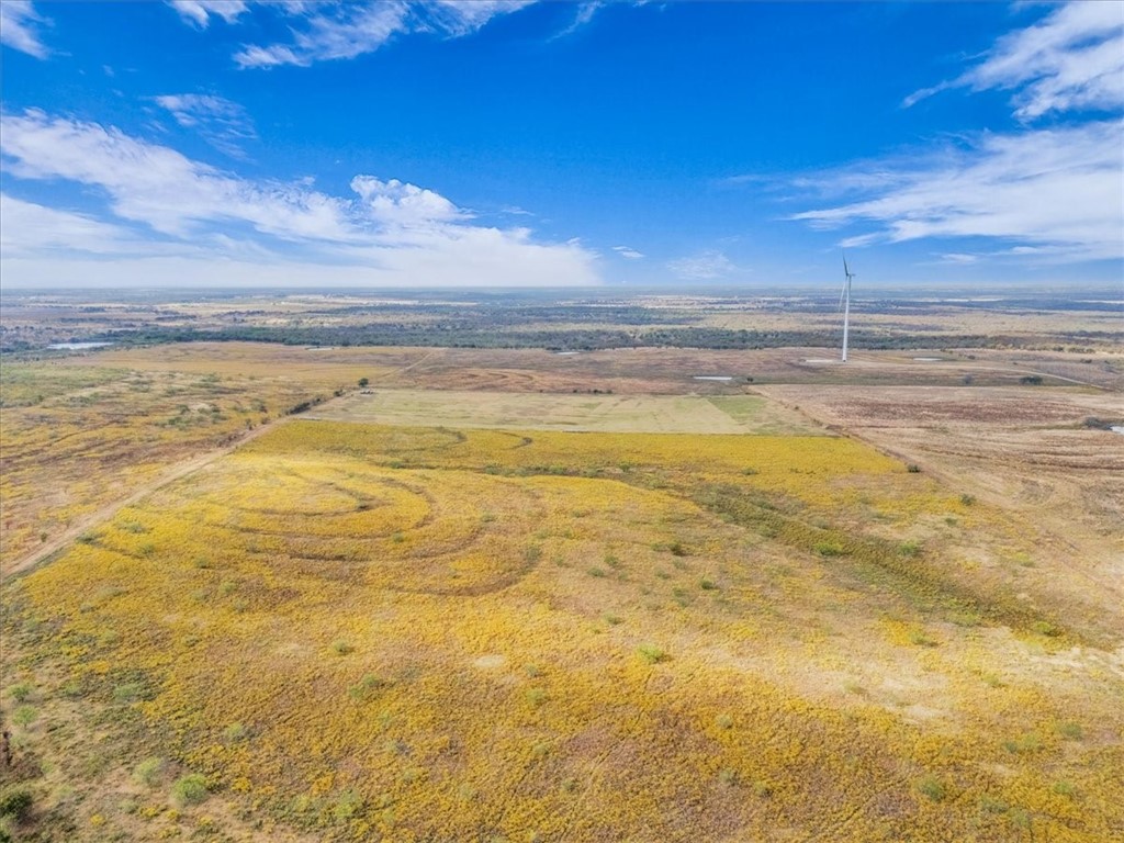 TBD Hcr 3254 Road, Mount Calm, Texas image 40