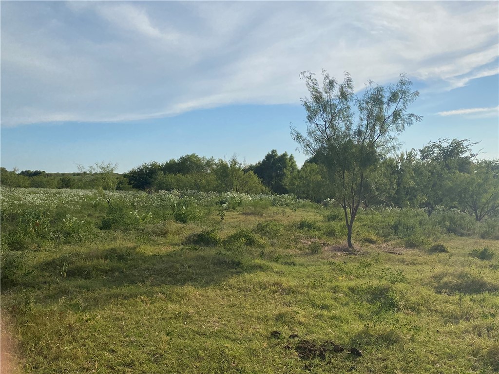 TBD Hcr 3254 Road, Mount Calm, Texas image 22