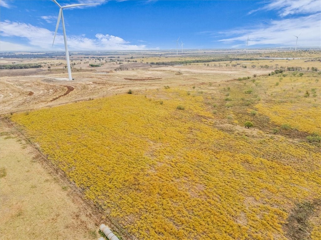 TBD Hcr 3254 Road, Mount Calm, Texas image 29