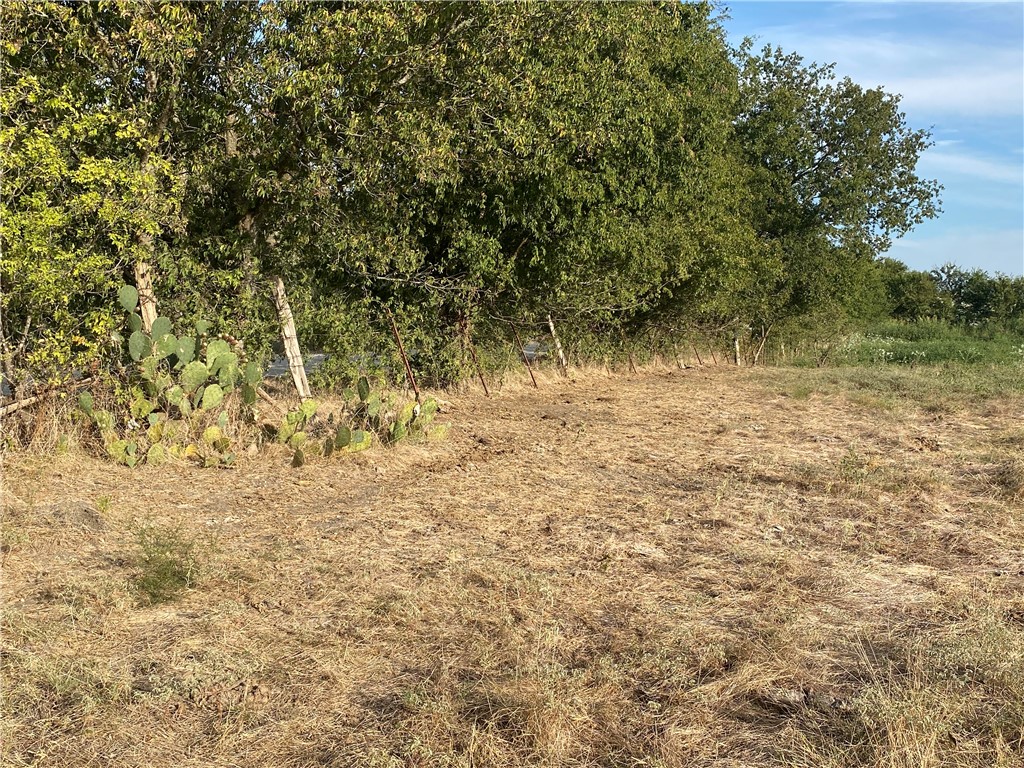 TBD Hcr 3254 Road, Mount Calm, Texas image 18