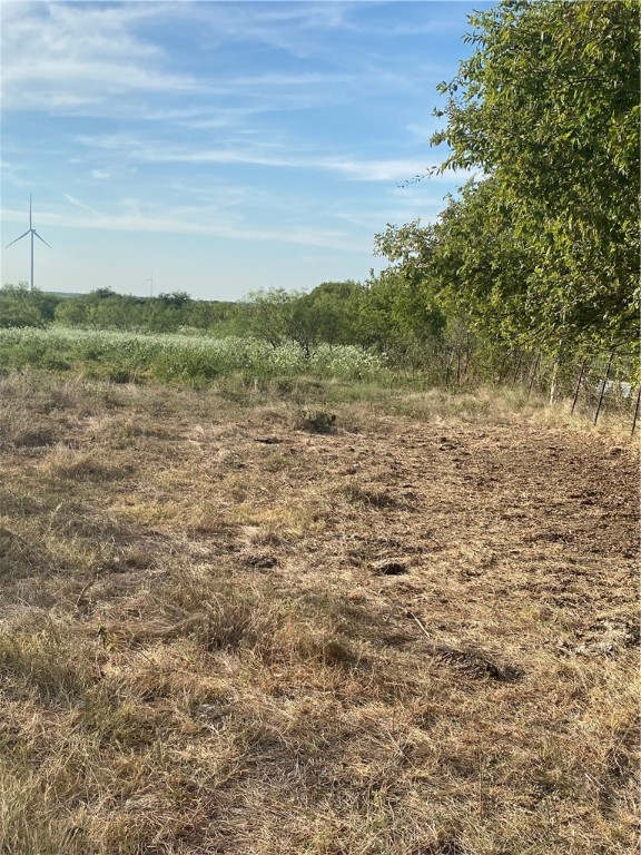 TBD Hcr 3254 Road, Mount Calm, Texas image 16