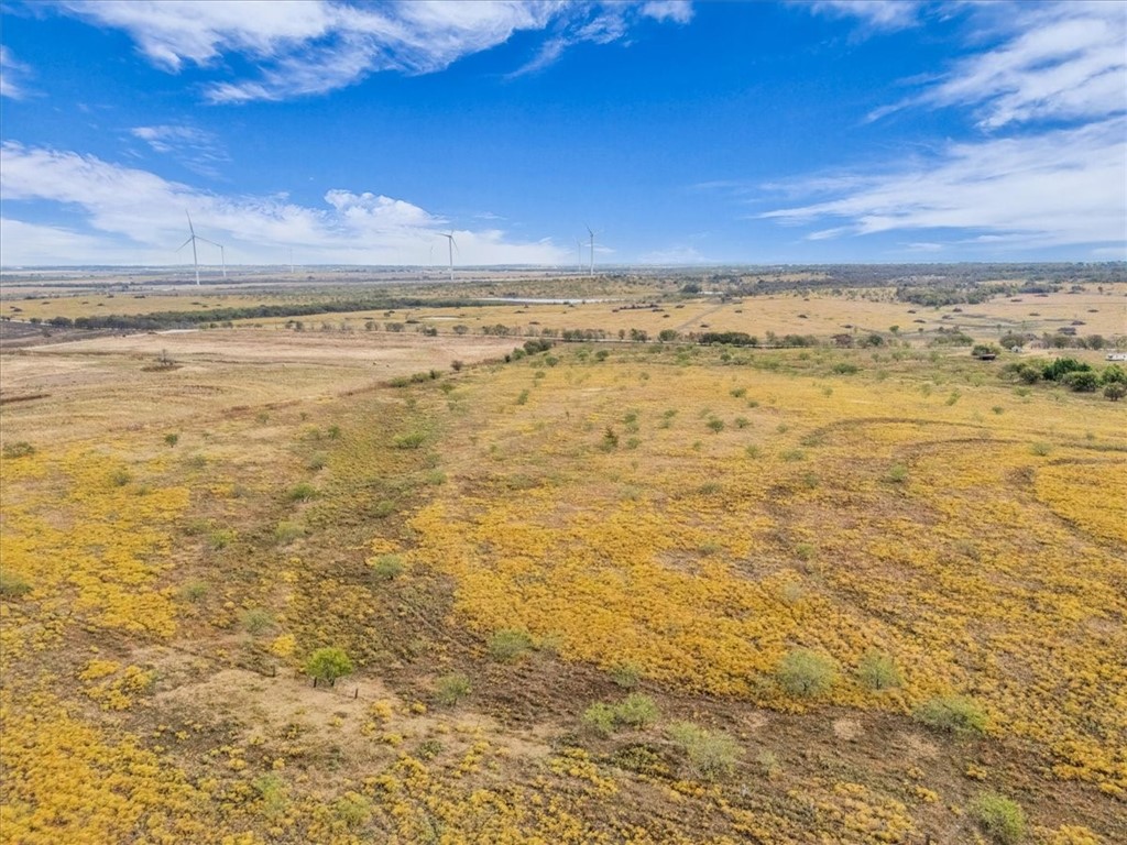 TBD Hcr 3254 Road, Mount Calm, Texas image 34