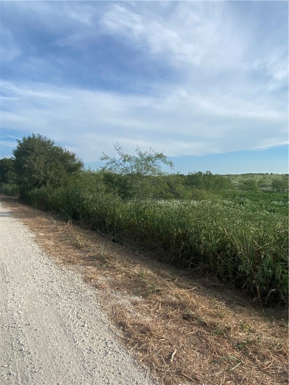 TBD Hcr 3254 Road, Mount Calm, Texas image 6