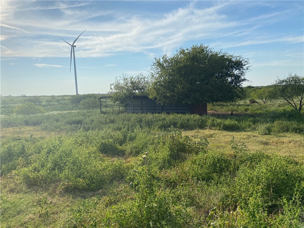 TBD Hcr 3254 Road, Mount Calm, Texas image 10