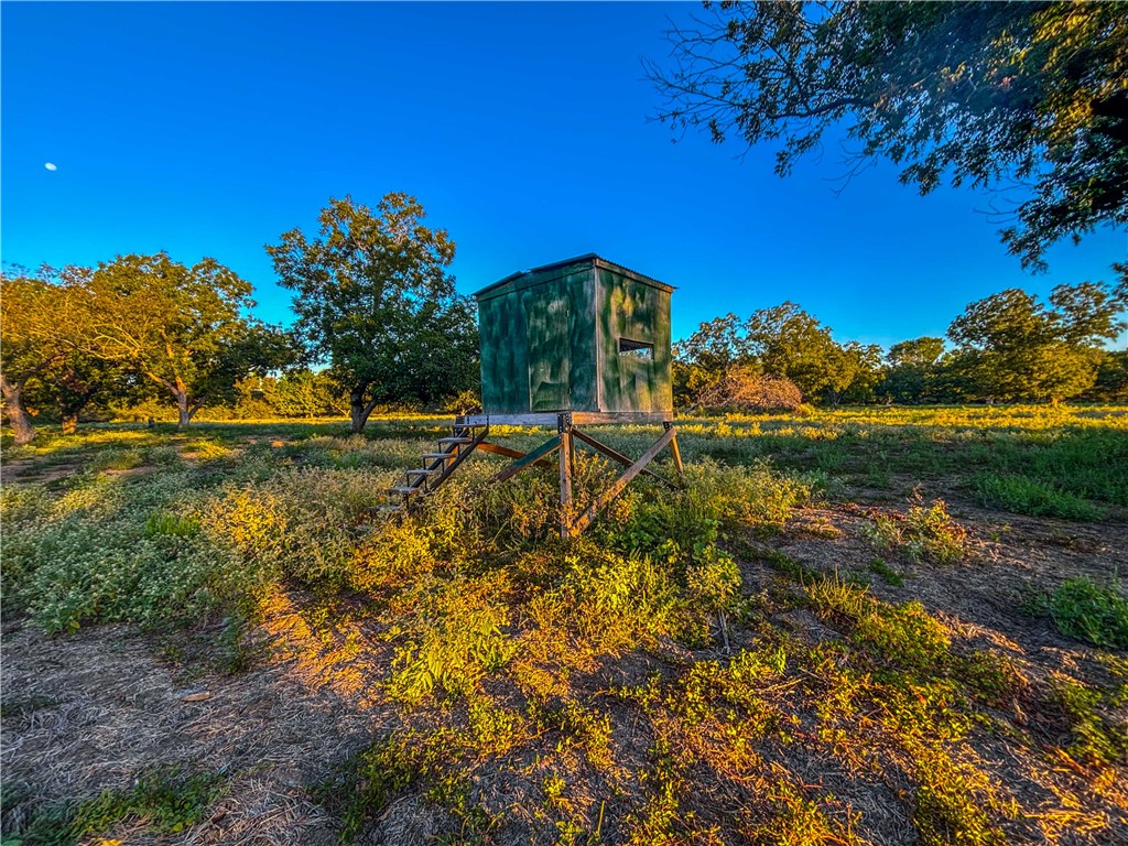 UNK Hwy 6 Highway, Reagan, Texas image 19