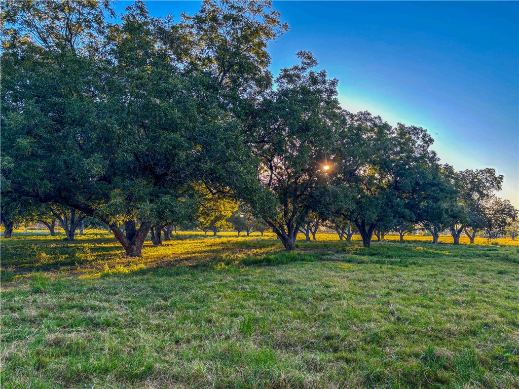 UNK Hwy 6 Highway, Reagan, Texas image 45