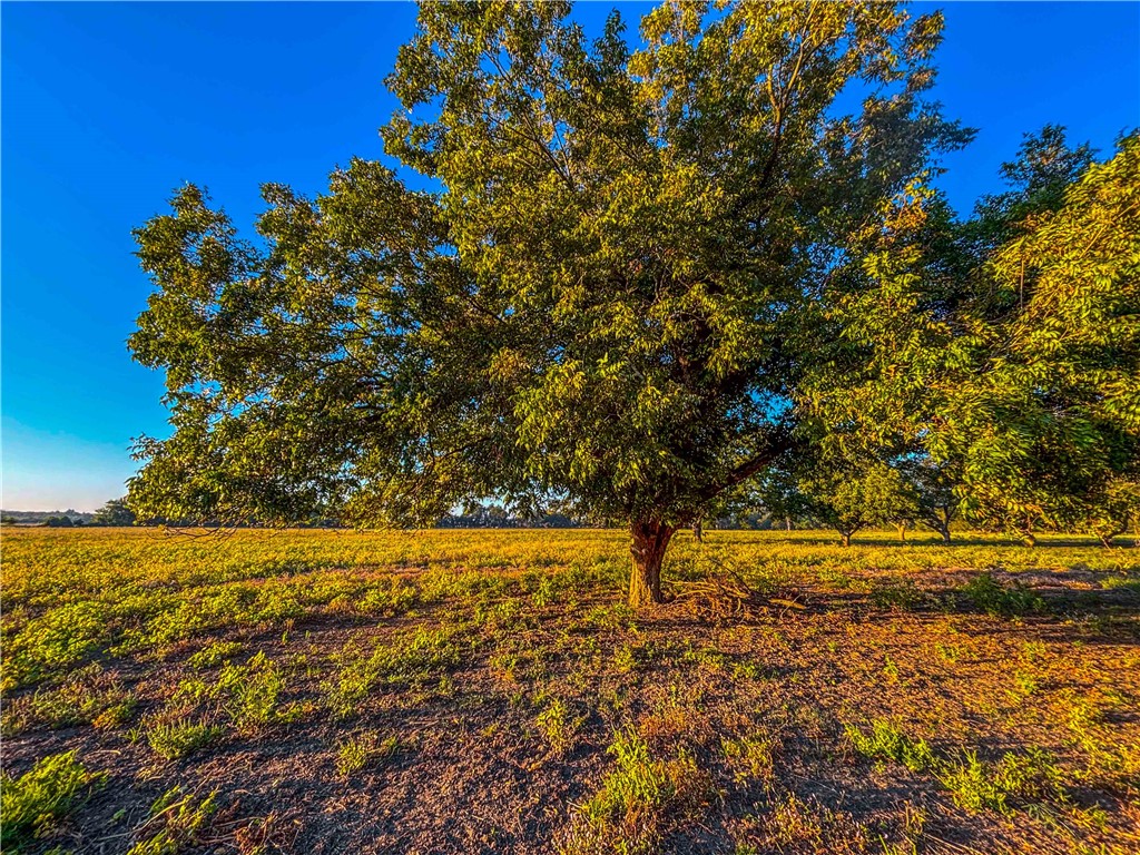 UNK Hwy 6 Highway, Reagan, Texas image 44