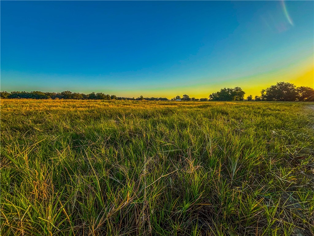 UNK Hwy 6 Highway, Reagan, Texas image 42