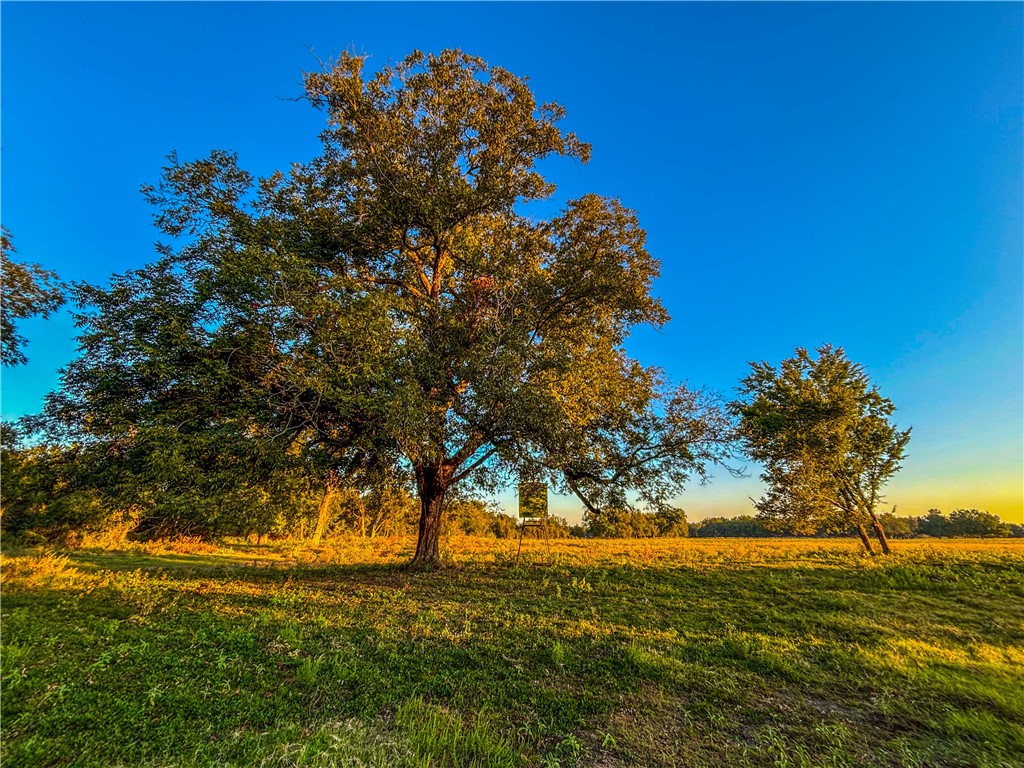 UNK Hwy 6 Highway, Reagan, Texas image 18