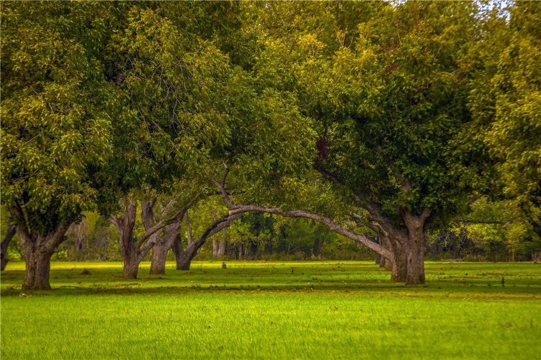 UNK Hwy 6 Highway, Reagan, Texas image 46