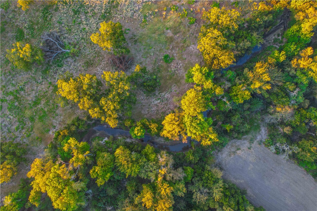 UNK Hwy 6 Highway, Reagan, Texas image 49