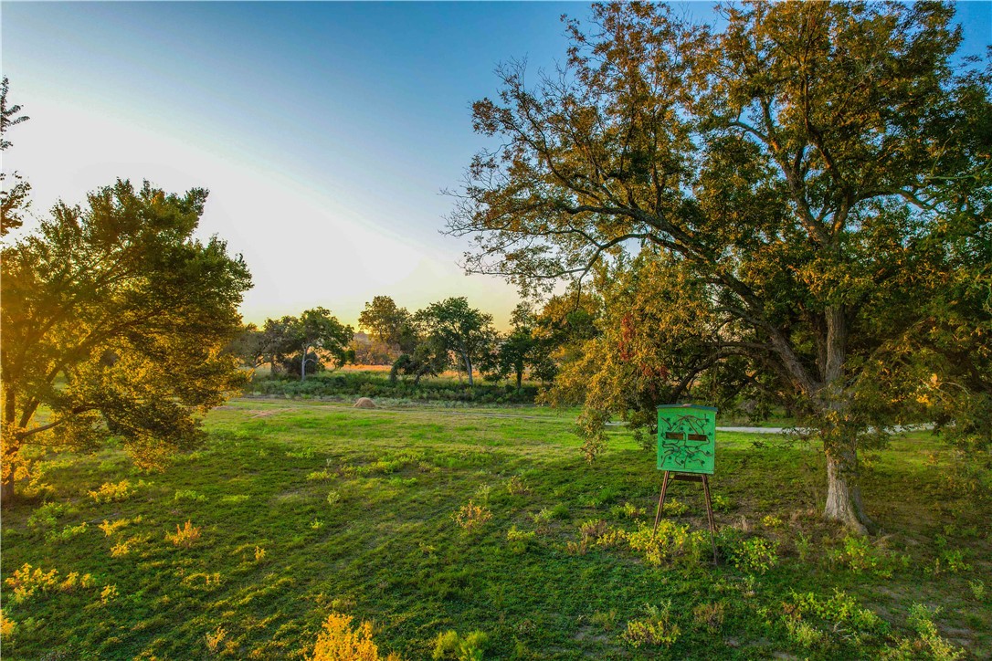 UNK Hwy 6 Highway, Reagan, Texas image 16