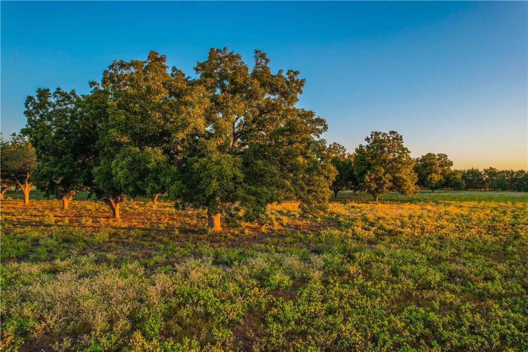 UNK Hwy 6 Highway, Reagan, Texas image 25