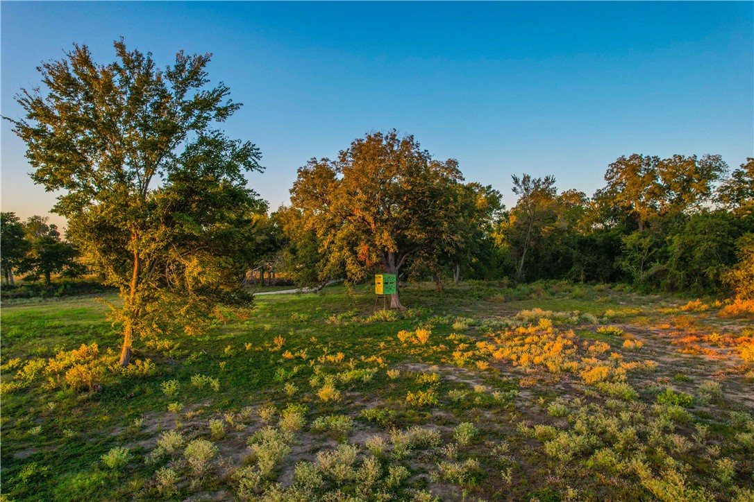 UNK Hwy 6 Highway, Reagan, Texas image 15